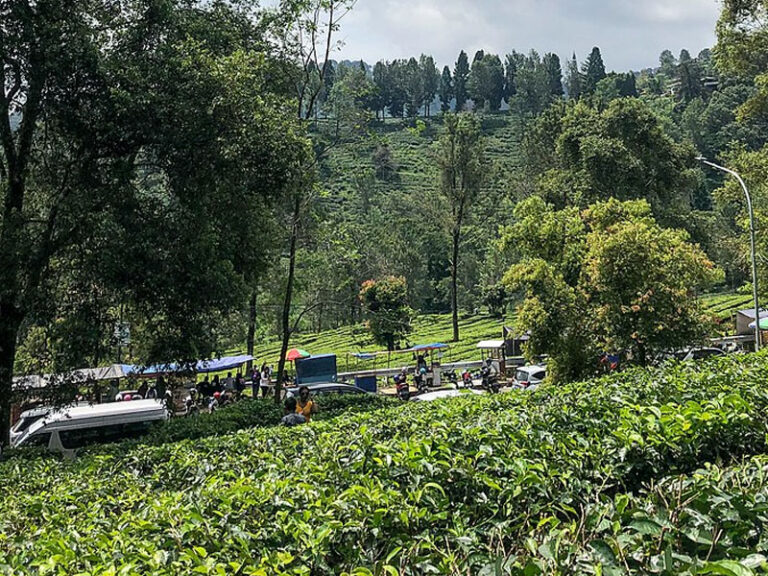 3 Tempat Di Bogor dengan Udara Tersejuk