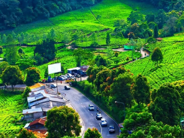 Kapan Saat Yang Tepat Untuk Liburan…?