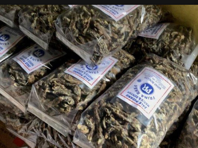 Oleh Oleh Khas Bogor
