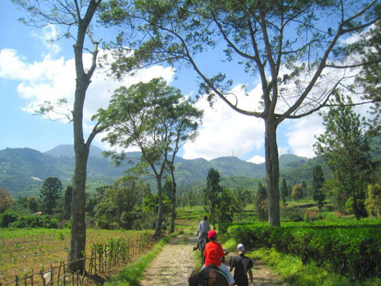 Wisata Alam Terbaik Bogor