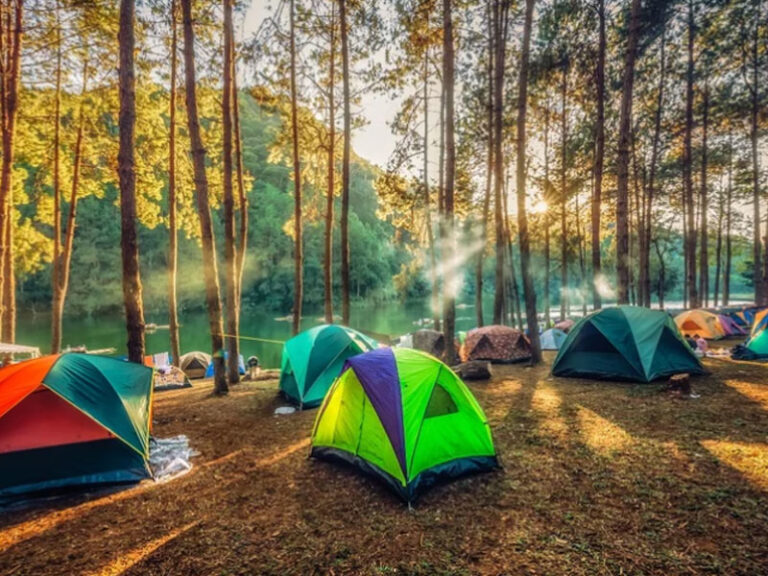 Hala Hal Yang Bisa di Lakukan Saat Camping