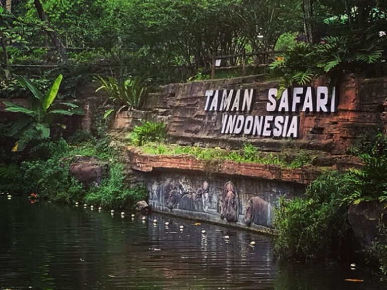 Taman Safari, Wisata Keluarga Trpopuler